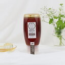 グアテマラ産 コーヒーハチミツ チューブタイプ 500g 非加熱 蜂蜜 はちみつ