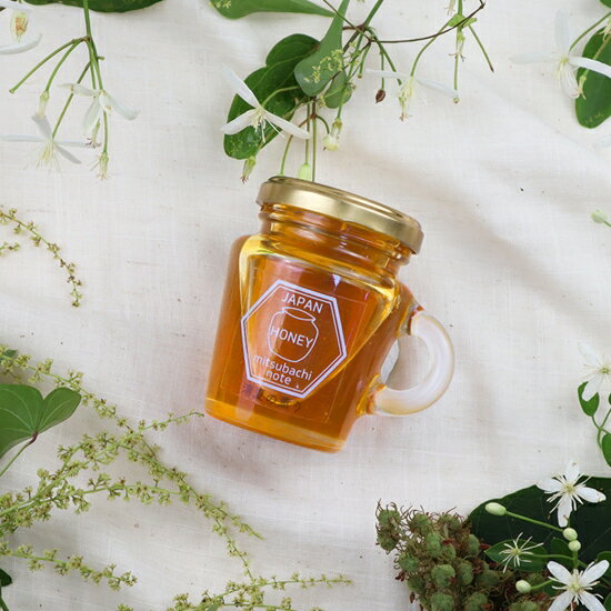国産 天然ハチミツ 清夏の薫り 瓶タイプ 120g 非加熱 はちみつ 蜂蜜 ギフト 瓶詰 国産蜂蜜