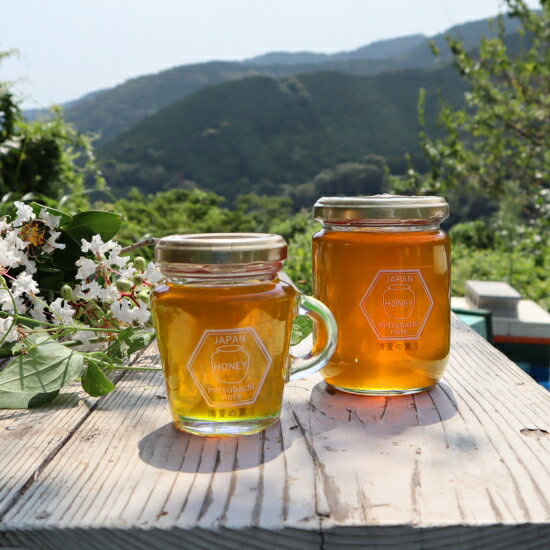 国産 天然ハチミツ 清夏の薫り 瓶タイプ 300g 非加熱 はちみつ 蜂蜜 ギフト 瓶詰 国産蜂蜜