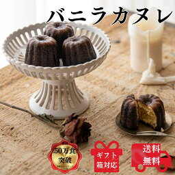 【母の日】送料無料 送料込み お取り寄せ ギフト バニラ カヌレ デザート 冷凍スイーツ 焼き菓子 ケーキ 洋菓子 高級スイーツ スイーツ スイーツギフト プレゼント お返し 手土産 プチギフト自分ご褒美 結婚祝い 出産祝い 退職祝い かぬれ