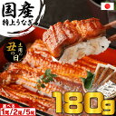 【送料無料】国産 うなぎの蒲焼き 長焼き 特大サイズ 丑の日 お中元 御中元 肉厚 約170グラム 選べる尾数1尾 2尾 5尾 (タレ、山椒付き) 南九州産 う...