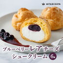 シュークリーム レアチーズ レアシュー 6個入 ギフト プレゼント お取り寄せスイーツ 洋菓子 お菓子 送料込み 冷凍配送