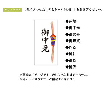 あす楽 ギフト 送料無料 ギフト スイーツ福袋セット 8個入 保冷バック付 4種食べ比べメガ盛り 当店看板商品シュークリーム 楽天週間ランキング1位獲得御礼/プレゼント/アソート/洋菓子/レアチーズ/ミルクシュー/ショコラ チョコ/イチゴ