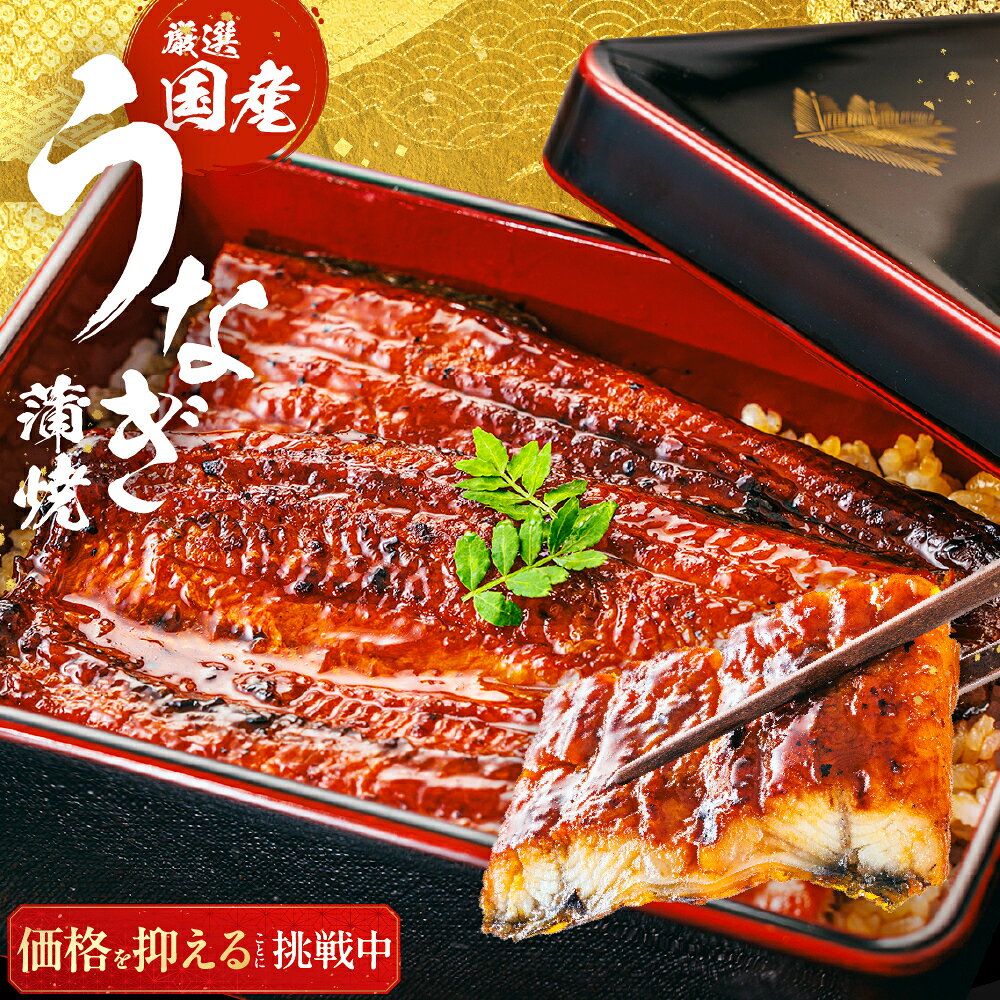 【5%OFFクーポン】鹿児島産鰻蒲焼 うなぎ 国産 鰻 ウナギ 蒲焼き 鹿児島県産 国産うなぎ 真空パック ギフト プレゼント お取り寄せ グルメ 山椒・タレ付 御祝 内祝い