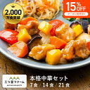 【マラソン限定15%OFFクーポン】冷凍弁当 お弁当 おかず 本格中華 レトルト食品 ギフト 栄養バランス おかず 電子レンジ 簡単 手軽 レトルト 宅食 低カ...
