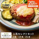 【SS限定 全品20%OFFクーポン】冷凍弁当 お弁当 おかず 人気セレクト 冷凍食品 一人暮らし カロリー 三ツ星ファーム 健康 簡単 時短調理 減塩 栄養送料無料 お弁当 冷凍食品 おかず 一人暮らし お惣菜 弁当 宅配 セット ヘルシー 宅配弁当 低糖質 高たんぱく