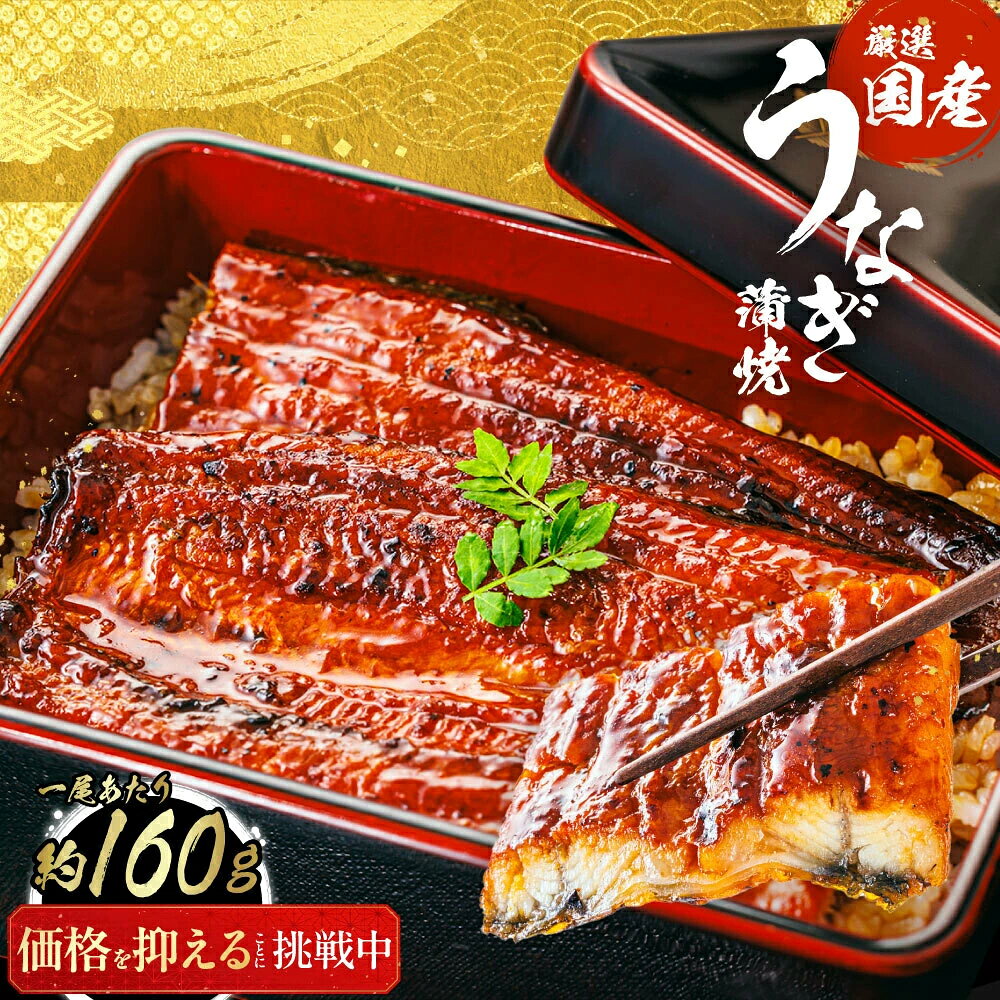 【マラソン限定 最大10%OFFクーポン】鹿児島産鰻蒲焼 うなぎ 国産 鰻 ウナギ 蒲焼き 鹿児島県産 国産うなぎ