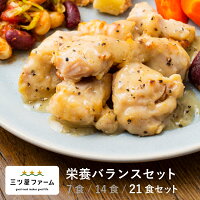 冷凍弁当 お弁当 おかず 栄養バランス 21食 レトルト食品 ギフト 栄養バランス おかず 電子レンジ 簡単 手軽 レトルト 宅食 低カロリー 減塩 低糖質 塩分 レンジ 女性 人気 お弁当 冷凍食品 おかず 一人暮らし お惣菜 冷凍総菜 弁当 宅配