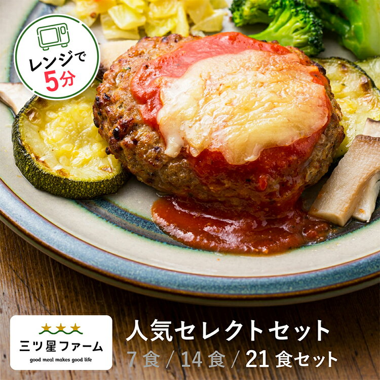 【お買い物マラソン17%OFF】 冷凍弁当 お弁当 おかず 人気セレクト 21食セット 冷凍食品 一人暮らし カロリー 三ツ星ファーム 健康 簡単 時短調理 減塩 栄養 野菜不足 送料無料のサムネイル