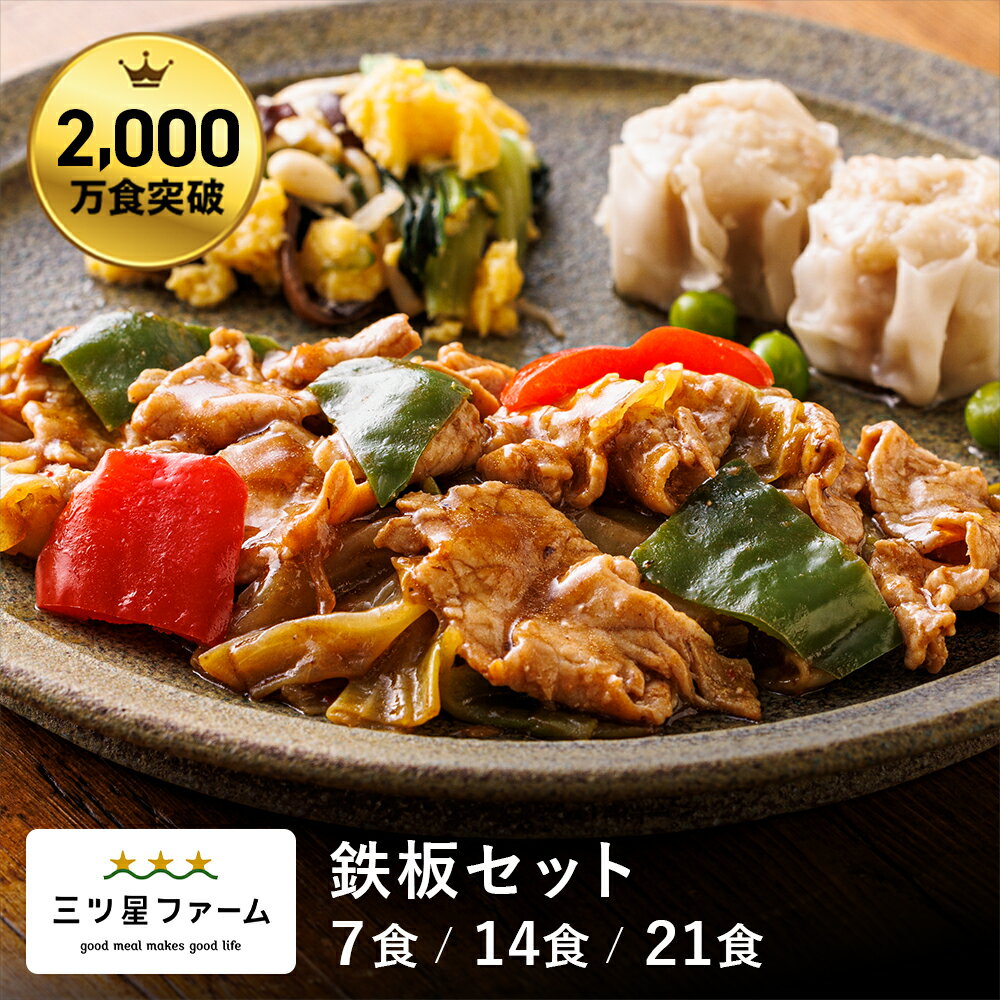 冷凍弁当 お弁当 おかず 鉄板セット（7食/14食/21食） 冷凍食品 一人暮らし カロリー 健康 簡単 時短調理 減塩 栄養送料無料 お弁当 冷凍食品 おかず...