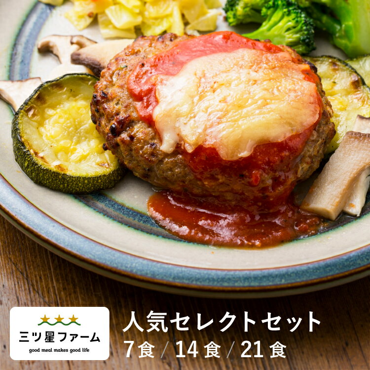 【23周年記念福袋】福袋 全5品 送料無料 総重量1660g！冷凍 おかず 弁当 おすすめ 人気 福袋 お得 安い 総菜セット　（セット内容：生姜香る唐揚げ・じゃがチキン・やみつきチキン・とり天・みそソース鶏カツ）