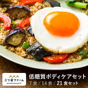 冷凍弁当 お弁当 おかず 低糖質ボディケア 21食 冷凍食品 三ツ星ファーム 一人暮らし カロリー 健康 簡単 時短調理 減塩 栄養送料無料 お弁当 冷凍食品 おかず 一人暮らし お惣菜 冷凍総菜 弁当 宅配