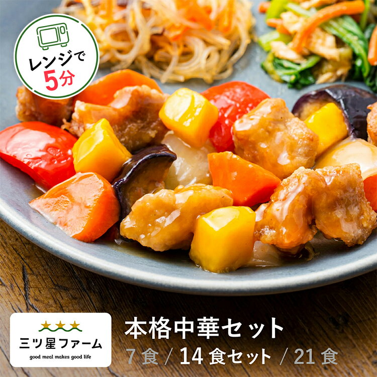 冷凍弁当 お弁当 おかず 本格中華 14食 レトルト食品 ギフト 栄養バランス おかず 電子レンジ 簡単 手軽 レトルト 宅食 低カロリー 減塩 低糖質 塩分 レンジ 女性 人気 お弁当 冷凍食品 おかず 一人暮らし お惣菜 冷凍総菜 弁当 宅配のサムネイル