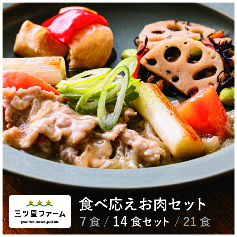 【10%OFF&P10倍】冷凍弁当 お弁当 おかず 食べ応えお肉 14食セット 冷凍食品 三ツ星ファーム 一人暮らし カロリー 健康 簡単 時短調理 減塩 野菜不足 送料無料のサムネイル