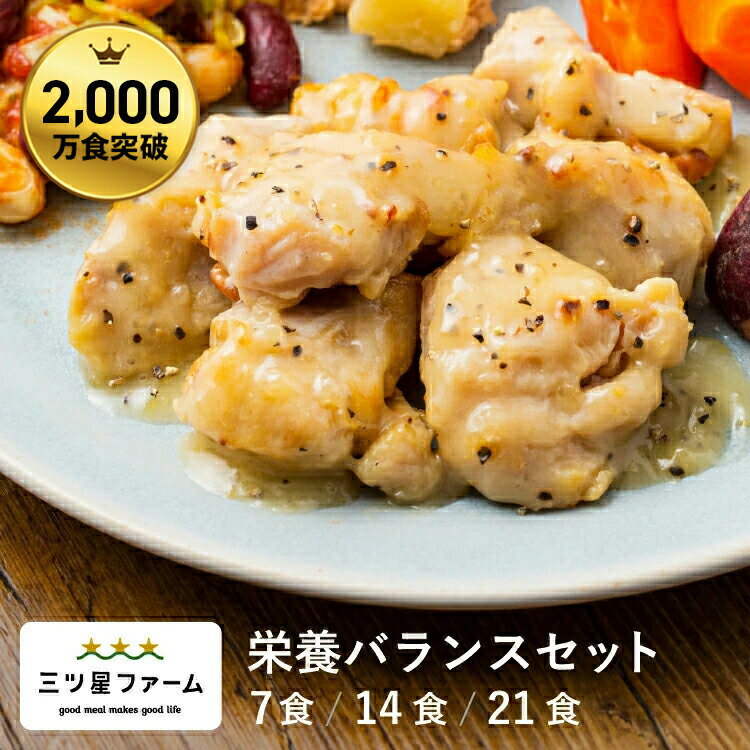 冷凍弁当 お弁当 おかず 栄養バランスセット レトルト食品 ギフト 栄養バランス おかず 電子レンジ 簡単 手軽 レトルト 宅食 低カロリー 減塩 低糖質 塩分 女性 人気 お弁当 冷凍食品 おかず 一人暮らし お惣菜 弁当 宅配 糖質制限