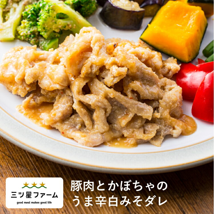 豚肉とかぼちゃのうま辛白みそダレ レトルト食品 ギフト 栄養バランス おかず 電子レンジ 簡単 手軽 レトルト 宅食 …