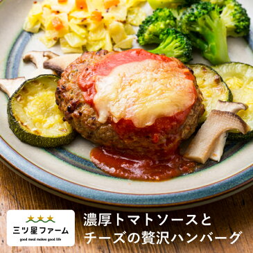 濃厚トマトソースとチーズの贅沢ハンバーグ冷凍食品 冷凍弁当 お弁当 おかず カロリー 健康 簡単 時短調理 減塩 栄養バランス 野菜不足 洋食