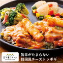 旨辛がたまらない 韓国風チーズトッポギ冷凍食品 冷凍弁当 お弁当 おかず カロリー 健康 簡単 時短調理 減塩 栄養バランス 野菜不足 お弁当 冷凍食品 おかず 一人暮らし お惣菜 冷凍総菜 弁当 宅配