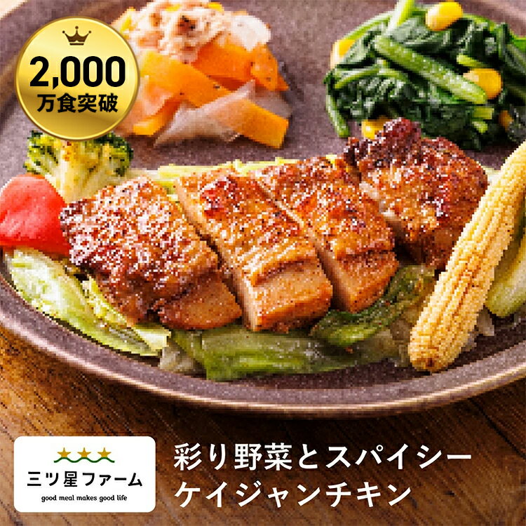 彩り野菜とスパイシーケイジャンチキンレトルト食品 ギフト 栄養バランス おかず 電子レンジ 簡単 手軽 レトルト 宅食 低カロリー 減塩 野菜不足 低糖質 塩分 レンジ 女性 人気 お弁当 冷凍食品 おかず 一人暮らし お惣菜 冷凍総菜 弁当 宅配のサムネイル