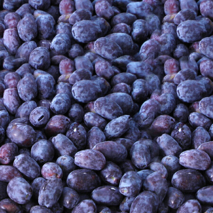 �ڸ����ۡ��̳�ƻ������������ϥ����åפμ¡�500g���̳�ƻ �褤�Ȥޤ� �ϥ����å� ���� �ߤĤܤ� ���� �ե롼�� ����� ������ ���塼�� ����ȥ����˥� ���ڻ� ���ۻ� ����� ������ �Ѿ��� ������ �ϥ����åפμ� ��̣ Ϸ�� �ץ쥼��� ��Ф�� ˡ��