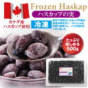 【採れたて良品質・数量限定】 冷凍ハスカップ 1kg(250g×4) 2024年新物 北海道十勝産