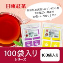 日東紅茶 デイリークラブ ティーバッグ 100袋入り 紅茶 アウトレット 20袋×5パック アールグレイ レモンティー