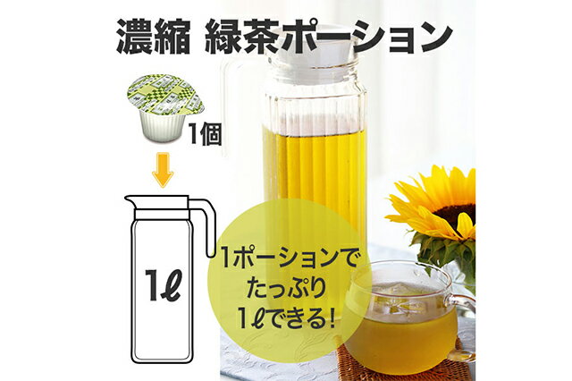 三井農林 WN プロ 濃縮緑茶 18.5g(500mL〜1L分)×30個×6袋　【1ケース 希釈 大容量 まとめ買い 業務用】