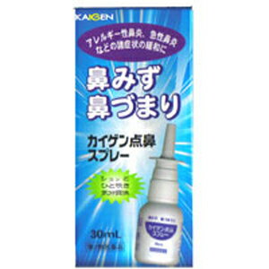 【第2類医薬品】カイゲン点鼻スプレー 30ml 5個　カイゲンファーマ