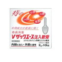 【第(2)類医薬品】Vザックエース注入軟膏 2g×10個入 1個 中外医薬生産 ※7,000円(税込)以上お買上で送料無料(沖縄・離島配送なし)