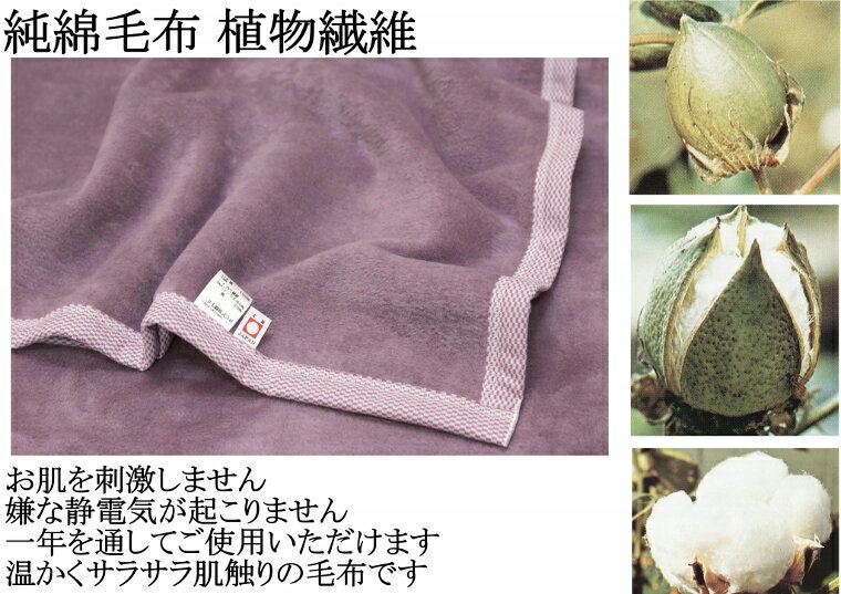シングル やわらか 中長綿 綿毛布 綿100% 厚手 二重織り毛布 公式 三井毛織 日本製 送料無料 C050 ラベンダー 3