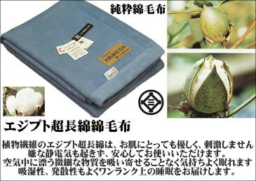 わけあり/規格外サイズ/136x168cm やわらか 純粋 綿毛布 洗える公式三井毛織 国産 送料無料 co900