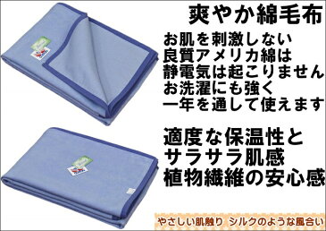 わけあり/よごれ中/シングル キシリトール&綿毛布 公式三井毛織国産 送料無料 SK829