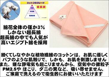 やわらか 純粋 敷き 綿毛布 シングルロング 100x210cm 公式　三井毛織　国産 送料無料 C3728