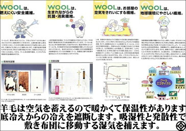 カシミヤ 敷き 毛布 【敷き クイーンサイズ】 公式三井毛織国産 送料無料 A268Q