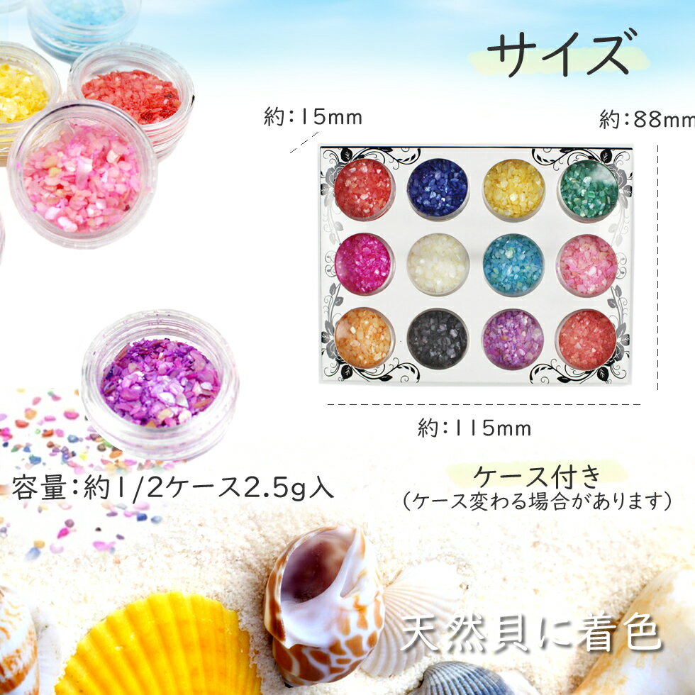 ����å��奷����12����1���åȡۥ����� ��������ե졼�����쥸���� �쥸������ ���̡��ѡ��� �����륹�ȡ��󡡥쥸��ѡ��� �ͥ���ѡ��� �����륹�饤�� �ͥ���ѡ��� �쥸�󥯥�եȤˤ� �ե졼�������� ������ͥ����ѡ��������Ǻࡡ������ͥ��롡�ͥ���