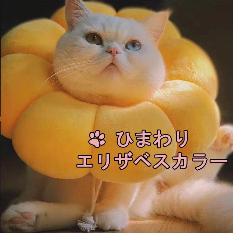 ڥå Ҥޤ ꥶ٥顼 ڥåȼ  ǭ   ݸ //² ߤɻ ꥶ٥...