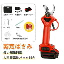 剪定ばさみ 電動 剪定バサミ 充電式 レディース 剪定鋏 コードレス 枝切り 枝切ばさみ バサミ 電動ハサミ 直径30mm 軽量 女性 庭木 枝切り 果樹用 園...