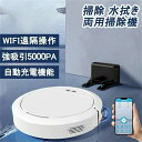 ロボット掃除機 5000Pa 強力吸引 高性能 あす楽 花粉対策 水拭き両用 超薄型 畳 静音 自動充電 アレクサ WiFi 130分間連続稼働 お掃除ロボット 送料無料