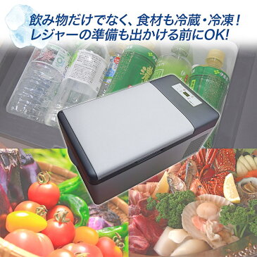 【期間限定特価!!】 車載 冷蔵庫 冷凍庫 15L 大型 大容量 12v 24v シガーソケットDC 家庭用電源AC 低電圧保護 保冷 クーラーボックス 車中泊 釣り 海水浴 アウトドア バーベキュー キャンプ レジャー(EC-0002)【送料無料】