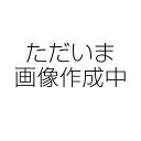 ダブルカメラドライブレコーダー