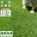 【一部サイズ予約販売 7月下旬】人工芝 ロール 1m×10m 1m×5m 35万本 防草タイプあり 高密度 高耐久 芝丈30mm リアル人工芝 芝ロール 芝マッ...