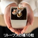 【多肉植物】生きる宝石 リトープスの種 （ミックス種）10粒 育て方の説明書付き 【多肉植物】 生ける宝石 多肉 観葉植物 Succulents Cactus サボテン 趣味の園芸