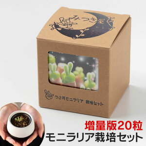 【多肉植物】【送料無料】うさ耳 モニラリア 栽培セット vol.2 種20個増量版 プレゼント 贈答 簡単育成 うさぎ　ラビット　種　かわいい 観葉植物　サボテン 多肉 土　栽培キット ギフト　母の日