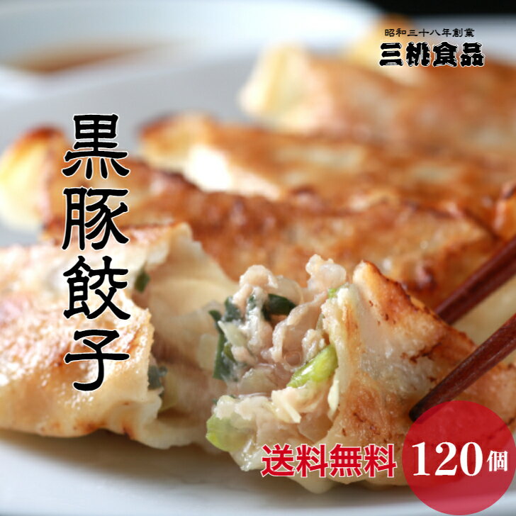 【パーティ盛り】【送料無料】三桃餃子 鹿児島 黒豚餃子 120個 セット 本格点心 冷凍餃子 冷凍 餃子 パリパリ ギョーザ ぎょうざ おいしい ギョウザ 国産 黒豚 生餃子 冷凍食品 おかず お取り寄せ お取り寄せグルメ 点心 中華 中華惣菜 簡単調理 大容量 オリジナル 餃子の皮