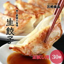 三桃餃子 冷凍 餃子 お試し 30個セット 生餃子 取り寄せ 餃子セット 冷凍餃子 通販 国産 単品 冷凍生餃子 モチモチ ギョーザ ぎょうざ ギョウザ 点心 ...