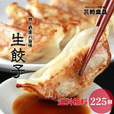 【メガ盛り 大容量 3.1kg】【送料無料】三桃餃子 冷凍 餃子 セット 225