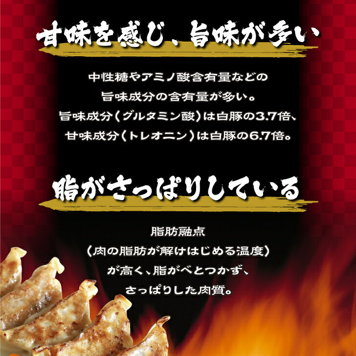 【黒豚餃子120個】 【大容量】15個入× 8袋 小分け 鹿児島 黒豚 冷凍庫 餃子 ぎょうざ ギョウザ 生餃子 ひとくちサイズ 大容量 国産 キャベツ ニラ 弁当 おかず 冷凍食品 中華総菜 ビール おつまみ お取り寄せ お取り寄せグルメ 三桃食品 送料無料 3