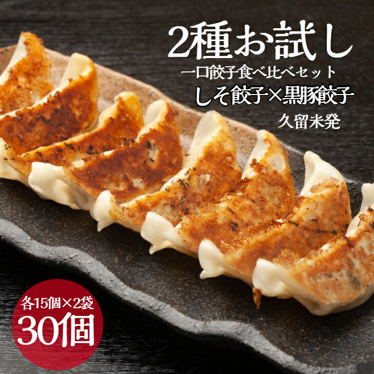 【2種お試し食べ比べ 30個】【黒豚餃子15個 しそ餃子15個】 小分け 黒豚 冷凍庫 餃子 ぎょうざ ギョウザ 生餃子 ひとくちサイズ 大容量 国産 キャベツ しそ ニラ 弁当 おかず 冷凍食品 中華総菜 グルメ 三桃食品 送料無料のサムネイル