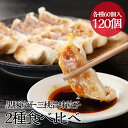【 2種食べ比べ セット120個】 三桃旨味餃子 60個 黒豚餃子 60個 小分け 黒豚 冷凍庫 餃子 ぎょうざ ギョウザ ひとくちサイズ 大容量 国産 キャベツ ニラ 弁当 おかず 冷凍食品 おつまみ 送料無料