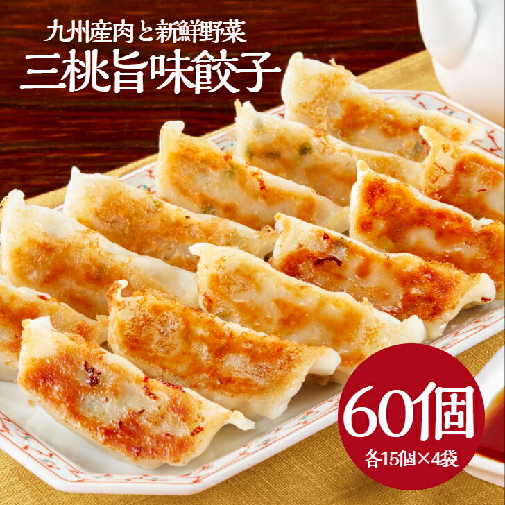 旨味餃子 三桃餃子 冷凍 餃子 セット 60個セット お取り寄せグルメ 生餃子 取り寄せ 餃子セット 美食 冷凍餃子 美味しい餃子 国産 単品 モチモチ ギョーザ ぎょうざ ギョウザ 点心 中華 簡単調理 冷凍食品 おかず 中華惣菜 おつまみ ビール 美味しい 豚生餃子 国産餃子のサムネイル